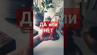 ДА или НЕТ? гадание💯🔥 #прогноз #гадание #даилинет #предсказание #руны #tarot #тароонлайн #таро