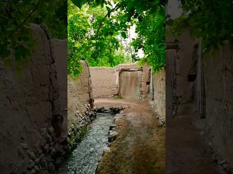 Village Life Peaceful Life In Iran Peaceful Village Iran