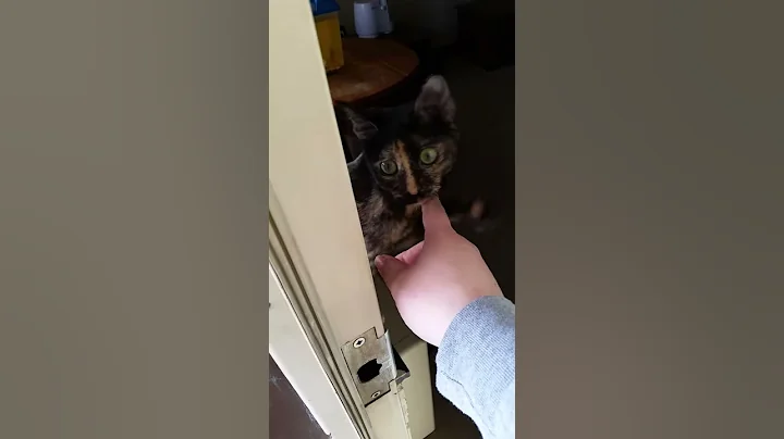 Don't want mommy to leave