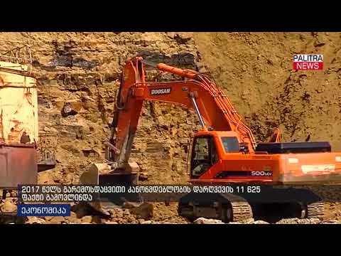 2017 წელს გარემოსდაცვითი კანონდებლობის დარღვევის 11 625 ფაქტი გამოვლინდა