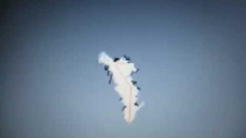 Crum - With added sonar!