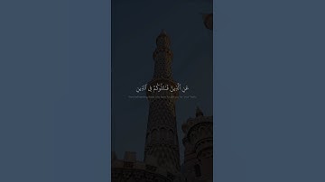 انما ينهاكم الله عن الذين قاتلوكم في الدين | محمد صديق المنشاوي | سورة الممتحنة
