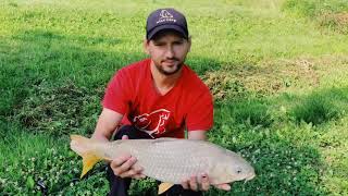 Карп на бойлы и макушатник.Рыбалка 2021 г.  Carp for boilies . Fishing 2021