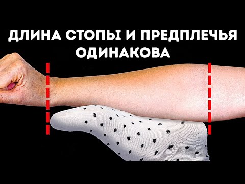 20 странных фактов о теле, которые заставят вас почувствовать себя супергероем