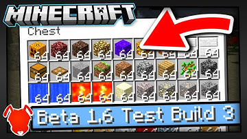 THERE ARE DEBUG VERSIONS of MINECRAFT?!