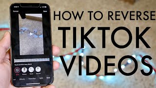 How To Reverse Video On TikTok!