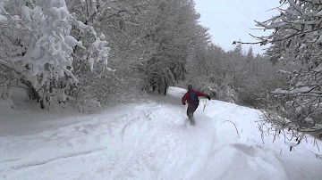 Où sortir ce week end Puy-de-dôme ?