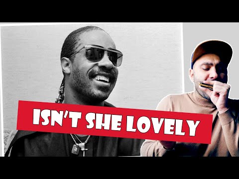 Gagi Svanidze / გაგი სვანიძე - Isn't She Lovely (Stevie Wonder Challenge)