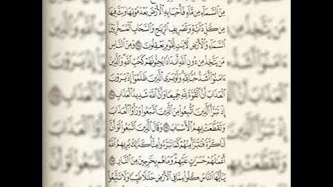 سورة البقرة من آية  157 إلي الآية 176بصوت القارئ عبدالكريم 🌷