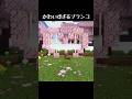 ハート型のブランコ #shorts
