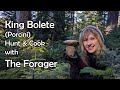 Foraging King Boletes & Hedgehog Mushrooms in the PNW — You Won’t Believe the Forager's Stash!