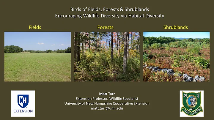 Birds Of Fields, Forests & Shrublands - Encouraging Wildlife Diversity via Habitat Diversity - 天天要闻