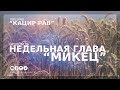 Недельная глава "Микец" | Община "Кацир Рав" | Андрей Маяцкий