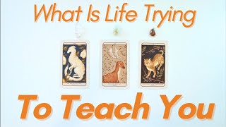 What Is Life Trying To Teach You? | Quick PICK A CARD Tarot Reading