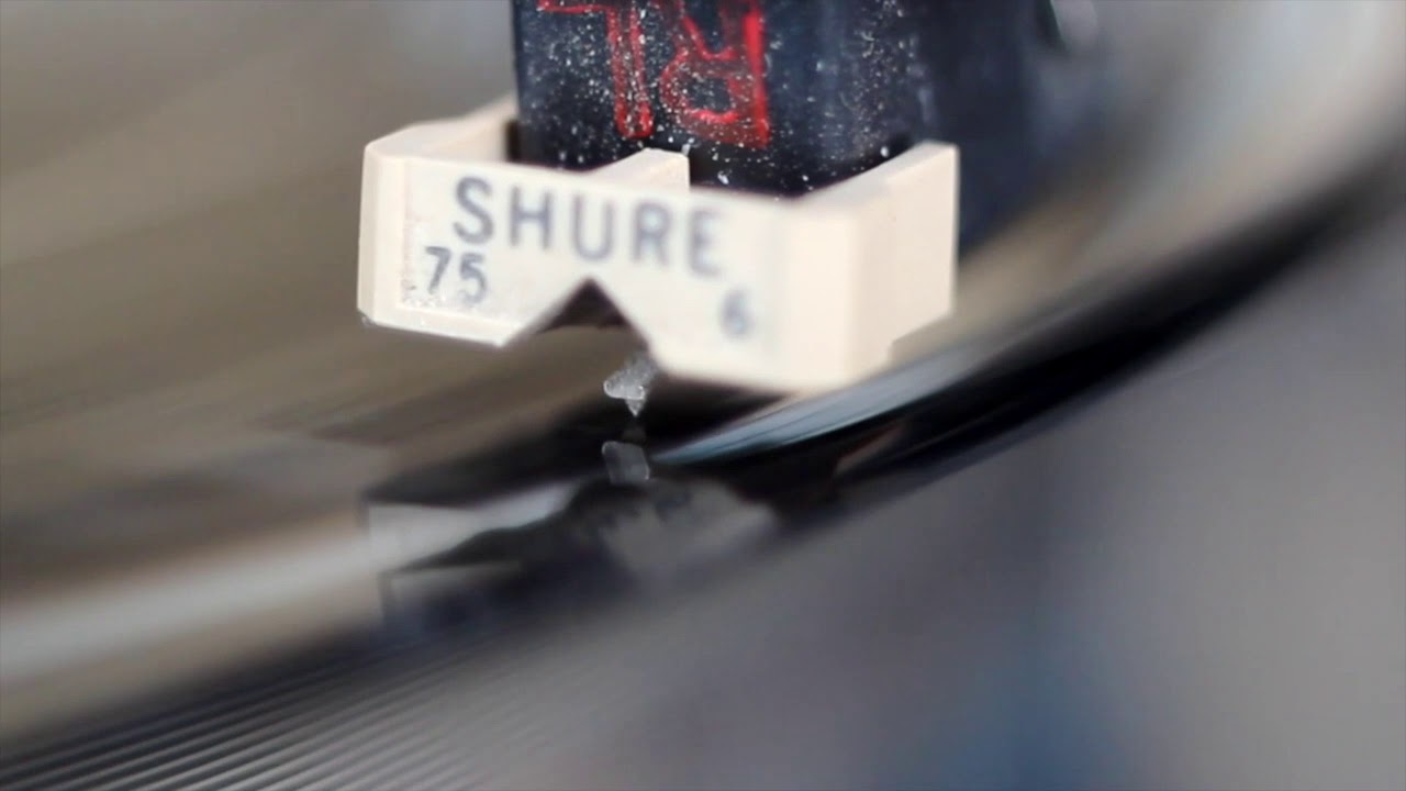 Born Fighters 'Little Green Tree' Lyric Video