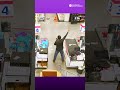 MrBeast grocery game winner and dad of six reveals plans for earnings