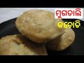 କଚୋଡି I ମୁଗଡାଲି କଚୋଡି ( Moongdal Kachori ) I roshniscuisine