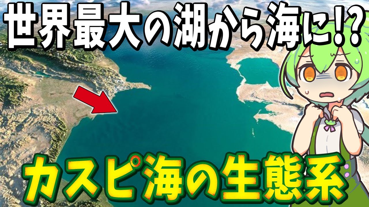 元世界最大の湖「カスピ海」の生態系!固有生物と環境汚染問題とは!?【ずんだもん解説】 YouTube