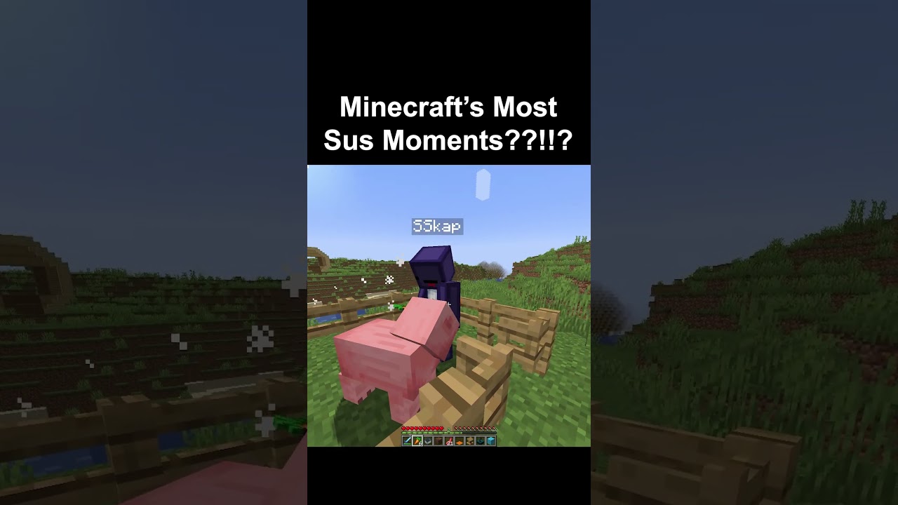 Minecraft SUS Moment