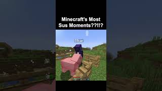 Minecraft SUS Moment