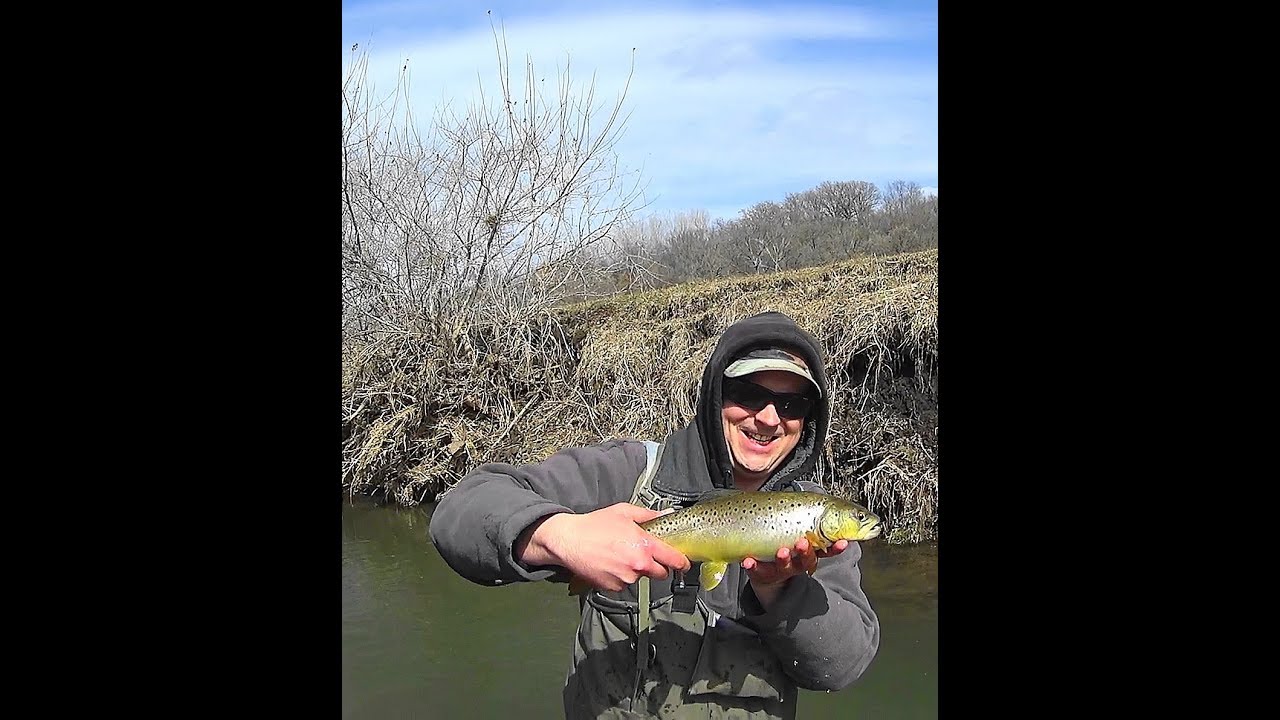 MN Trout Fishing 3/31/2019. YouTube