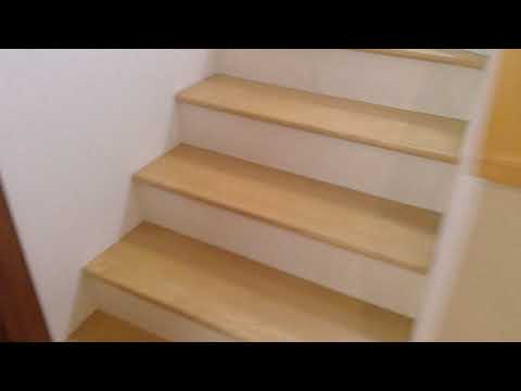117 S Monroe Street, Hinsdale, IL home video tour