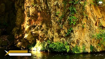 (قُلْ إِنَّ رَبِّي يَقْذِفُ بِالْحَقِّ عَلَّامُ الْغُيُوبِ ) تلاوة في قمة الخشوع الشيخ ثامر الزير