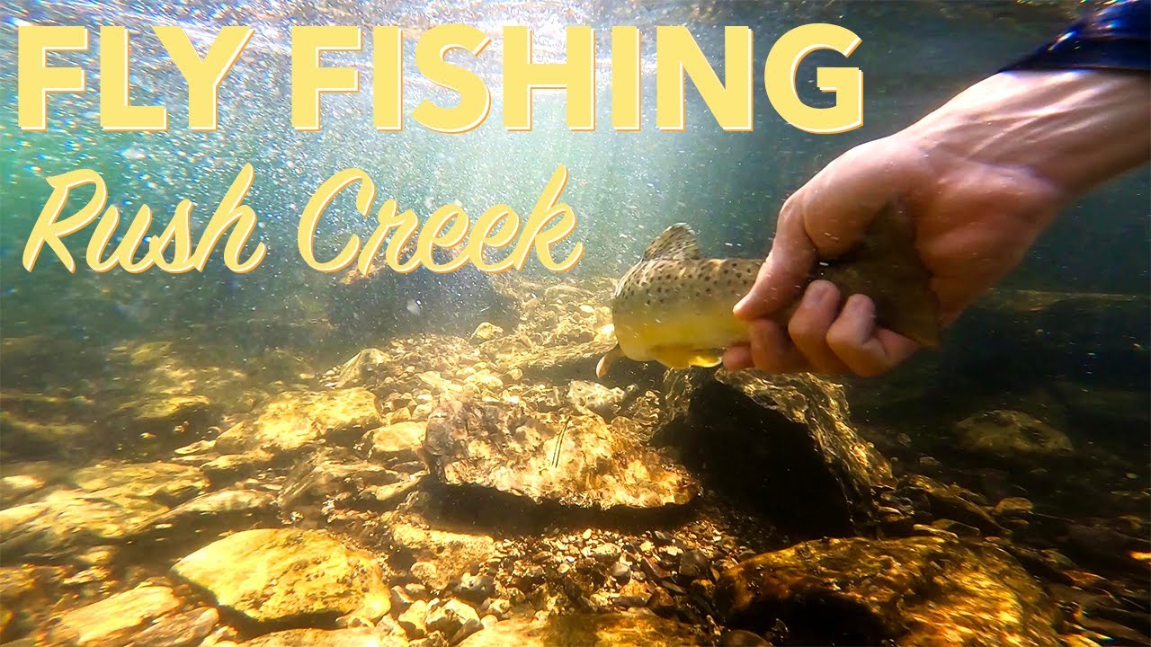 Fly Fishing Rush Creek Euro Nymphing the Eastern Sierra's June Lake Loop Fishing YouTube