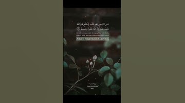 راحة نفسية ⚘️💛حالات واتس اب قرآن كريم بصوت جميل Quran Status 🌷 🌿