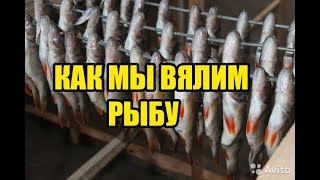 КАК МЫ ВЯЛИМ РЫБУ