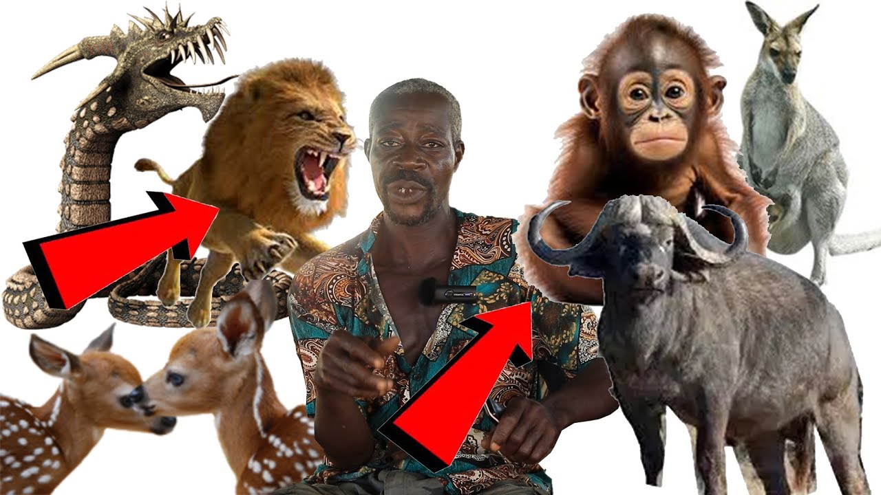 SERIOUS, I met a giant  spirit with burning fire at midnight. I have seen many Spirits