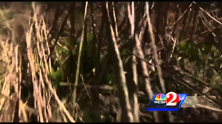 Woman who fell off horse rescued with help of helicopter