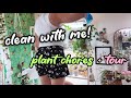 Clean With Me | IKEA Plant Shelves | Plant Tour Pinguiculas, Caudex, Hoya, African Violets + more!