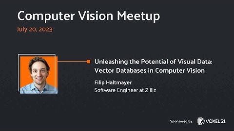 Computer Vision Meetup: Unleashing the Potential of Visual Data: Vector Databases in Computer Vision