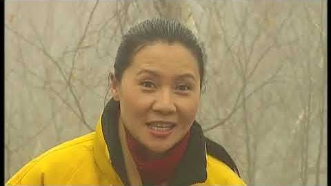 33 New Practical Chinese Reader / Новый практический курс китайского языка / 新实用汉语课本 3 Lesson 33