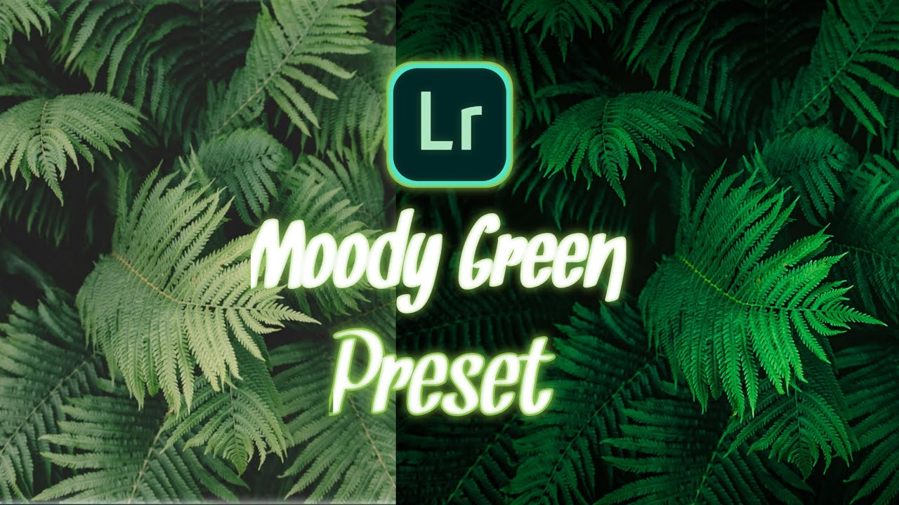 Moody Dark Green Preset Free - Lightroom Mobile Editing |Moody Green Lightroom Preset | Part - 2 |