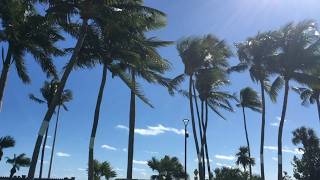 Rogues Gallery- Around Again ( Official Music Video )