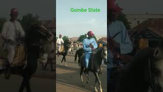 Gombe State campain