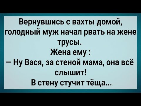 Муж Вернулся С Вахты И Жену Хочет! Сборник Свежих Анекдотов! Юмор!