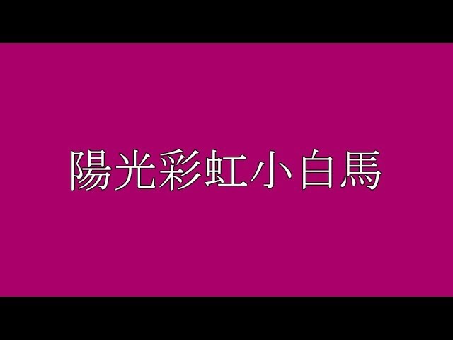 大張偉 - 陽光彩虹小白馬 (Sunshine Rainbow White Horse) (Lyrics)