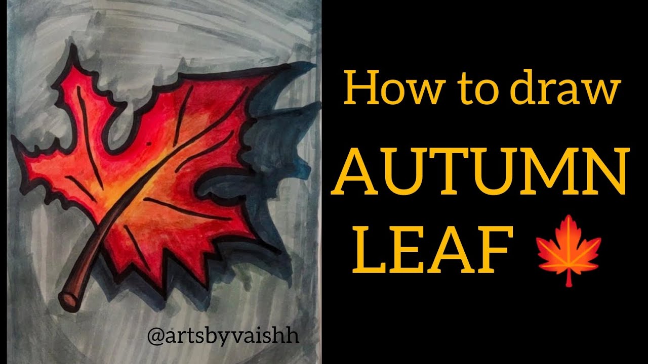 how to draw Autumn leaf 🍁#art #youtube #youtubevideo #autumn #drawing # ...