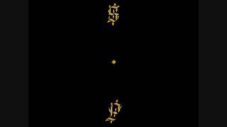 An echo from the hosts that profess infinitum - Shabazz Palaces