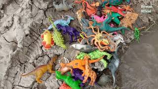 Lubang Harta Karun Mainan Dinosaurus, Buaya, Sapi, Gajah, Mainan Binatang | Bermain 