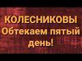 Семья Колесниковых/Новости из Дворца .