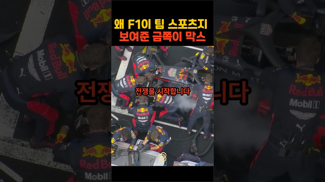 왜 F1이 팀 스포츠인지 보여준 금쪽이 막스 베르스타펜