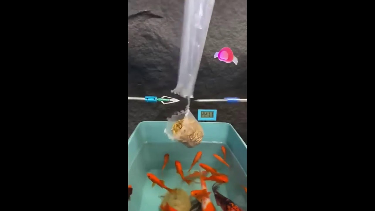 СТРИМ ШОРТС ИГРАЕМ