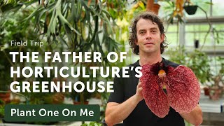 Tour the Liberty Hyde Bailey's, FATHER OF HORTICULTURE'S Conservatory — Ep. 285