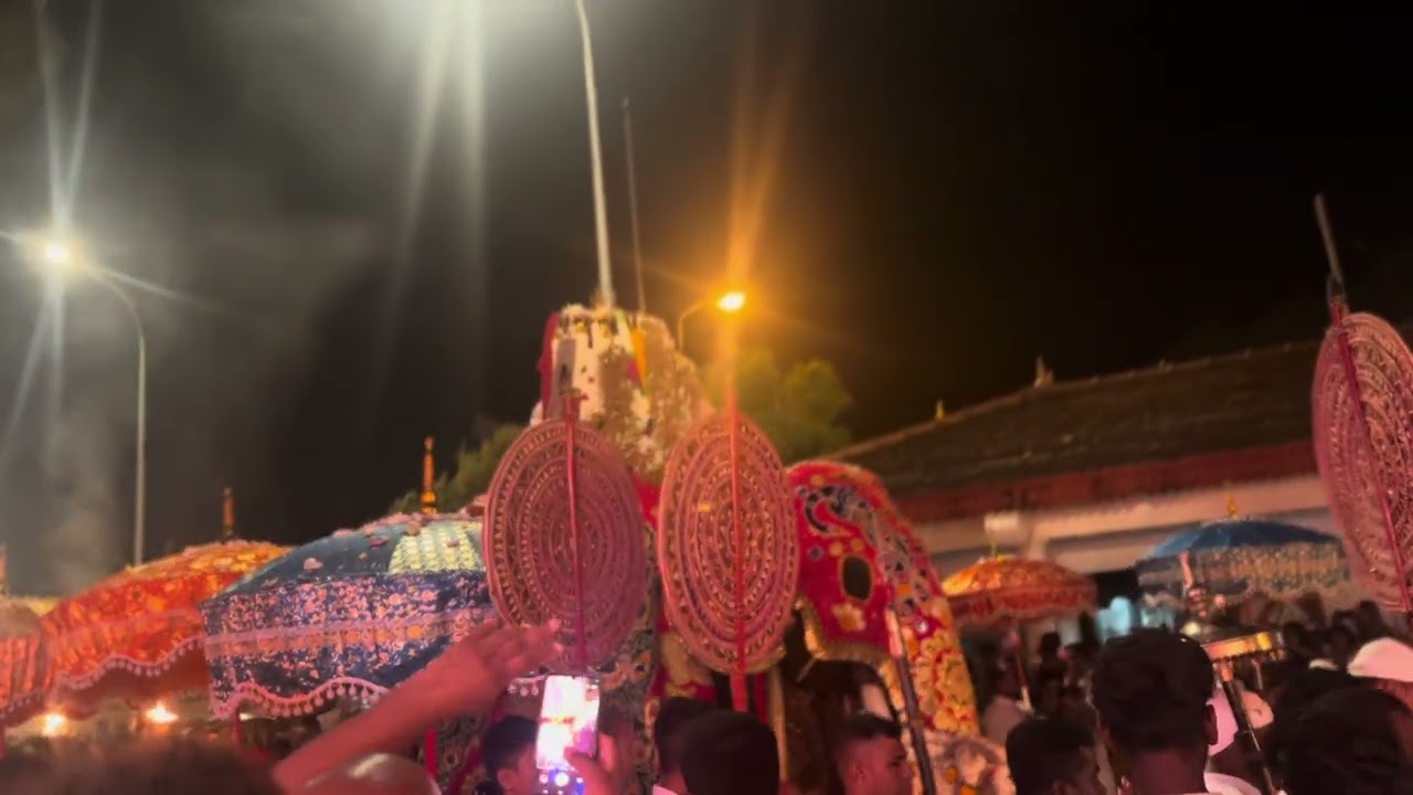 Katharagama Perahera Karaduwa | Sacred Chariot Procession in Sri Lanka 🇱🇰