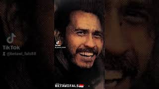 Download Lagu Story' WA Iwan Fals FRUSTRASI MP3