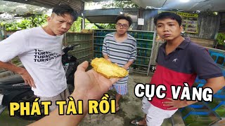 Anh Nhí đổi Trại Cá Betta lấy Kho Bấu Thỏi Vàng và cái kết cười té nổ